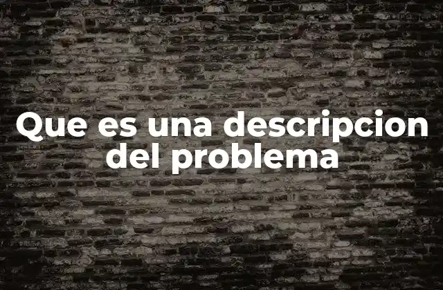 Que es una Descripcion Del Problema
