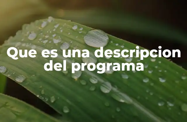 Que es una Descripcion Del Programa