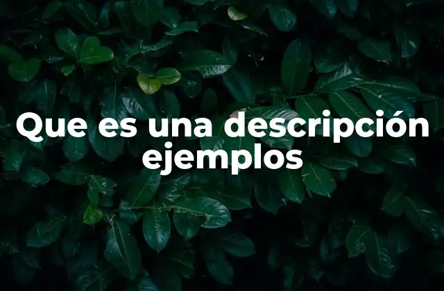 Que es una Descripción Ejemplos