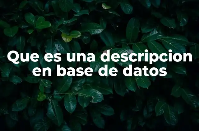 La importancia de la documentación en la estructura de datos