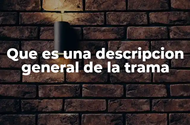 Que es una Descripcion General de la Trama
