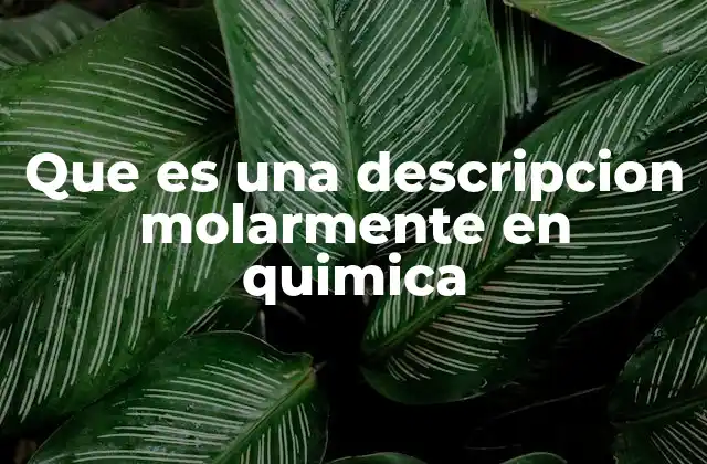 Que es una Descripcion Molarmente en Quimica