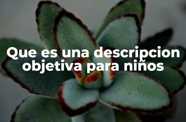 Que es una Descripcion Objetiva para Niños