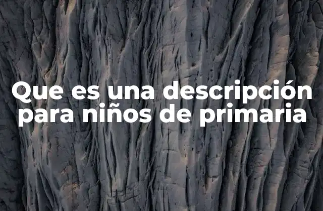 Que es una Descripción para Niños de Primaria