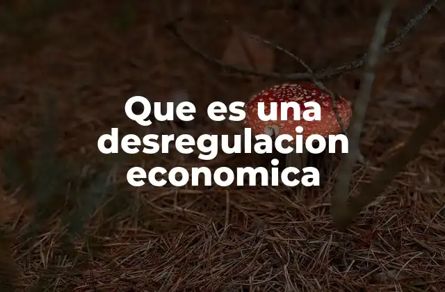 Que es una Desregulacion Economica