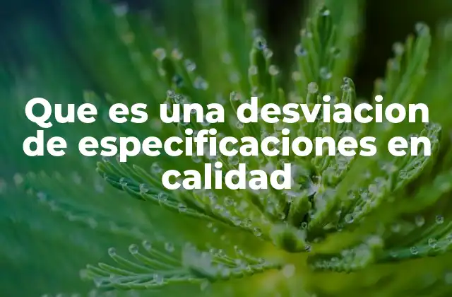 Que es una Desviacion de Especificaciones en Calidad