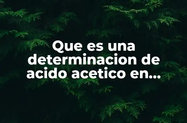 El rol del ácido acético en la composición del vinagre