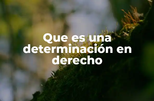 Que es una Determinación en Derecho