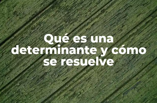 Qué es una Determinante y Cómo Se Resuelve