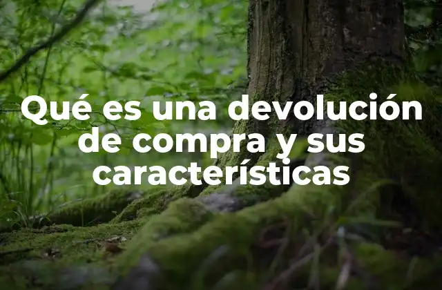 Qué es una Devolución de Compra y Sus Características