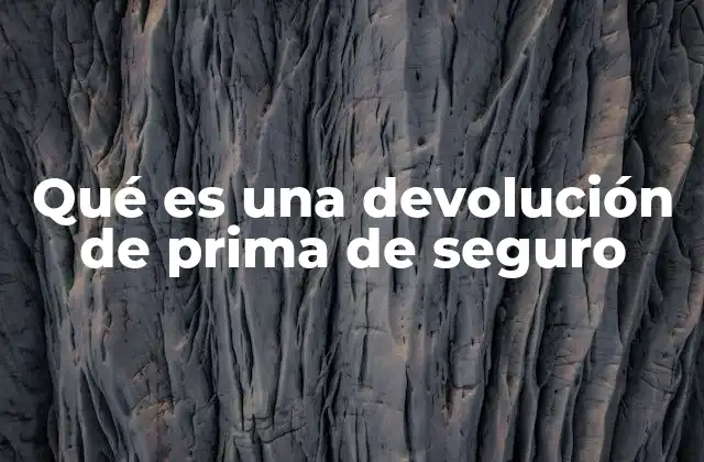 La importancia de entender las condiciones de devolución en una póliza