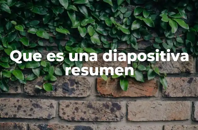 Que es una Diapositiva Resumen