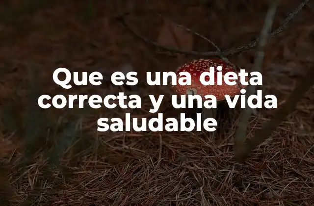Que es una Dieta Correcta y una Vida Saludable 2 La base de una vida equilibrada
