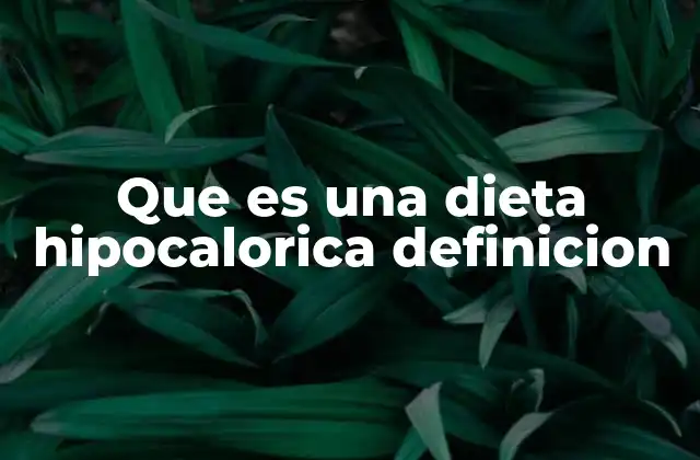 Que es una Dieta Hipocalorica Definicion