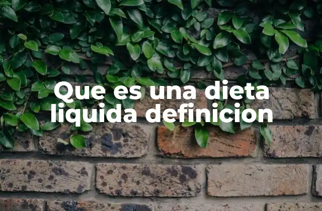 Que es una Dieta Liquida Definicion