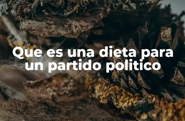 Que es una Dieta para un Partido Politico