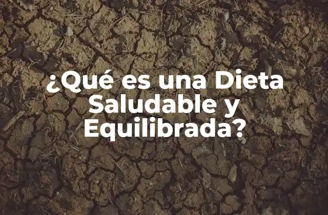 ¿qué es una Dieta Saludable y Equilibrada?