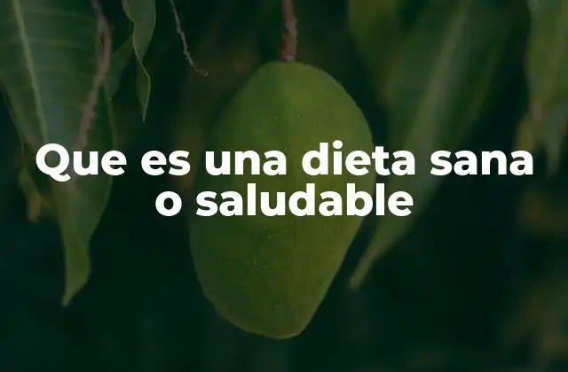 Que es una Dieta Sana o Saludable