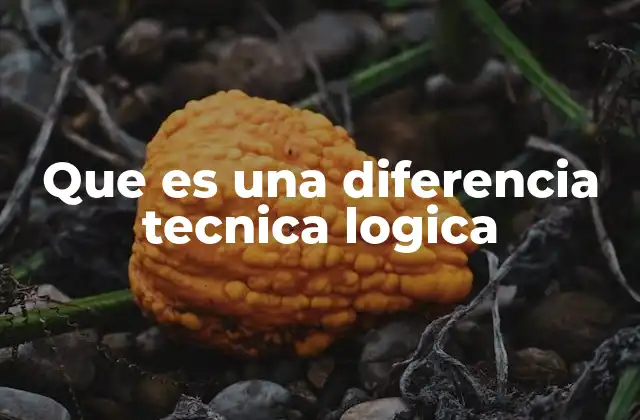 Que es una Diferencia Tecnica Logica