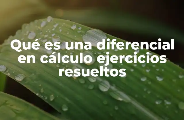 Qué es una Diferencial en Cálculo Ejercicios Resueltos