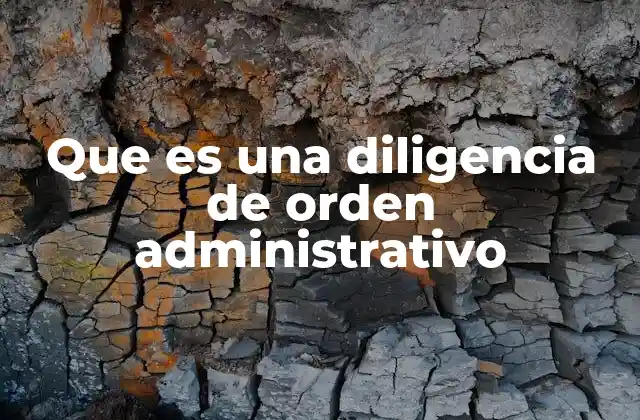 Que es una Diligencia de Orden Administrativo 2 El rol de las diligencias en los procedimientos administrativos
