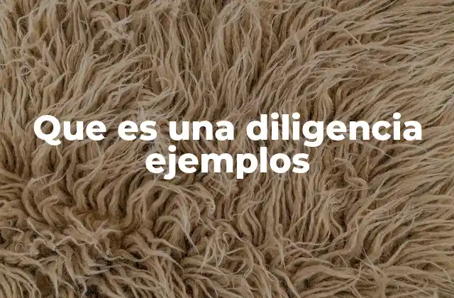 Que es una Diligencia Ejemplos