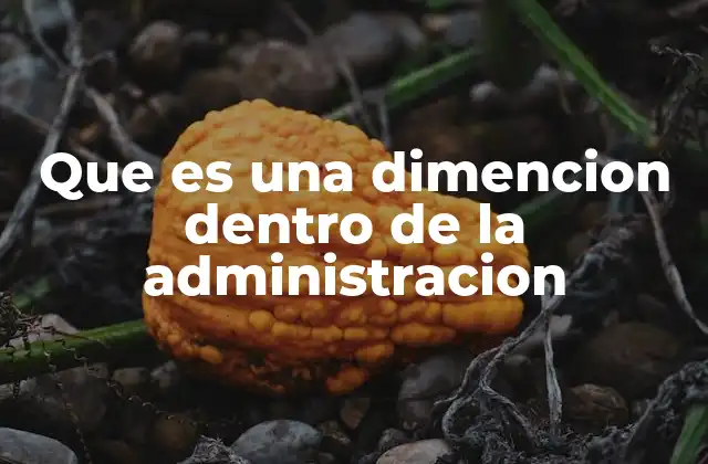 Que es una Dimencion Dentro de la Administracion
