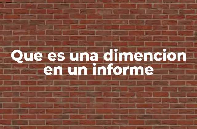 Que es una Dimencion en un Informe