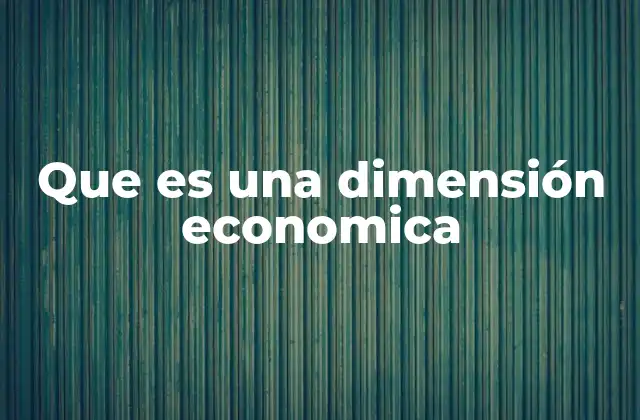 Que es una Dimensión Economica