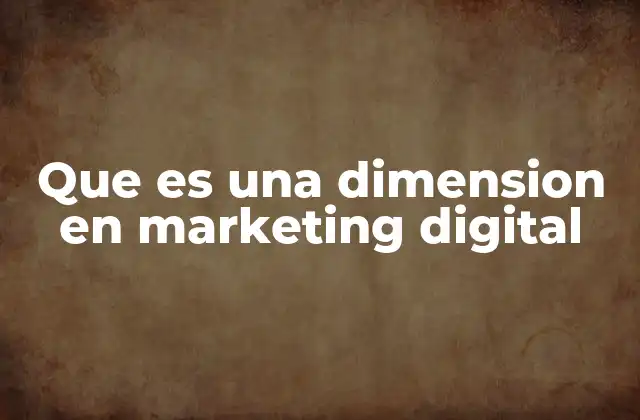 Que es una Dimension en Marketing Digital