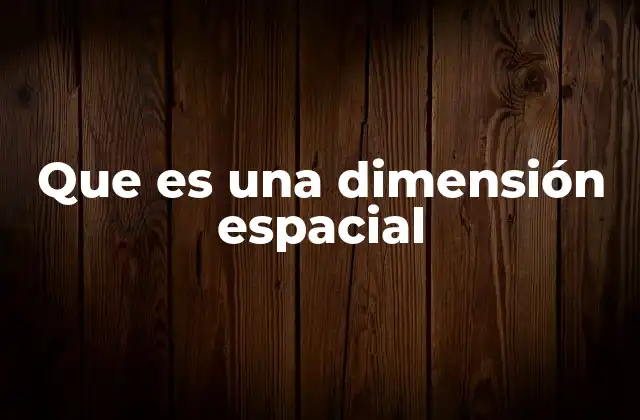 Que es una Dimensión Espacial