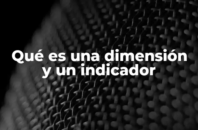 Qué es una Dimensión y un Indicador