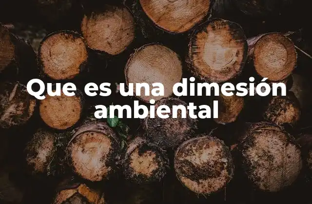 Que es una Dimesión Ambiental