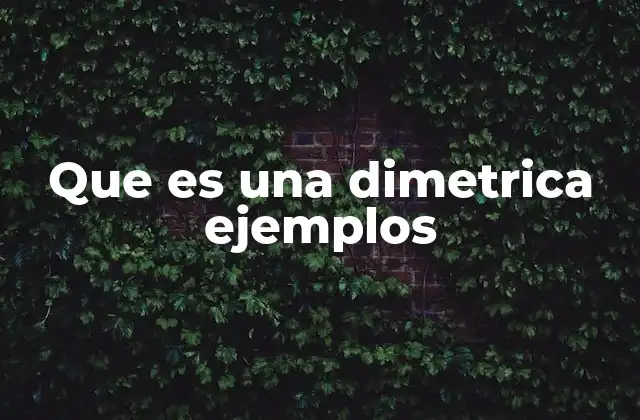 Que es una Dimetrica Ejemplos