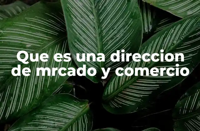Que es una Direccion de Mrcado y Comercio