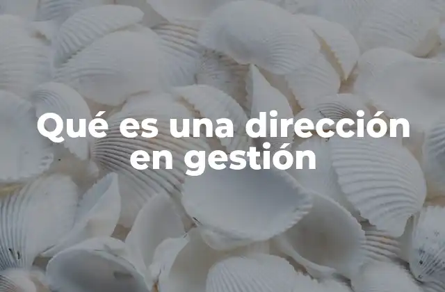 Qué es una Dirección en Gestión