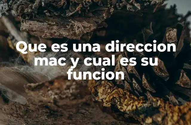 Que es una Direccion Mac y Cual es Su Funcion