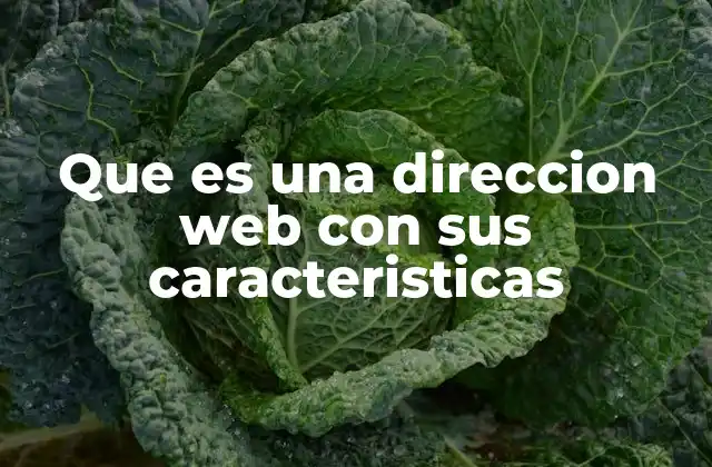 Que es una Direccion Web con Sus Caracteristicas