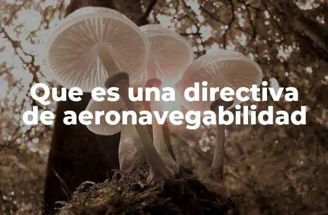 Que es una Directiva de Aeronavegabilidad 2 El papel de las autoridades aeronáuticas en la emisión de directivas