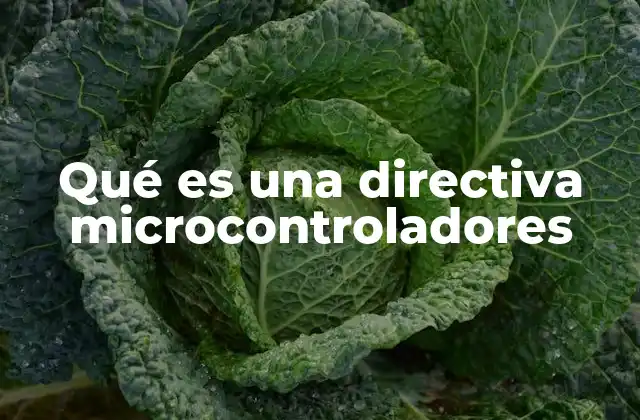 Qué es una Directiva Microcontroladores