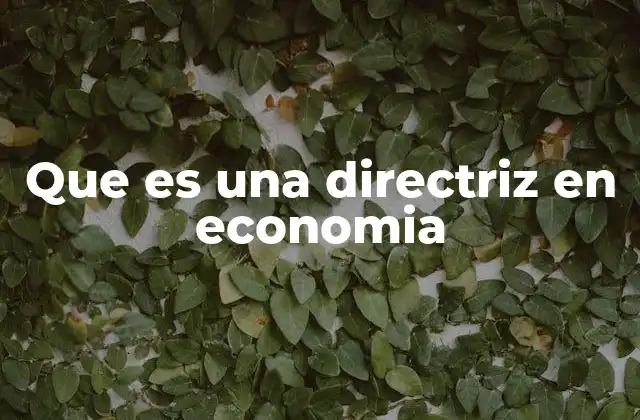Que es una Directriz en Economia