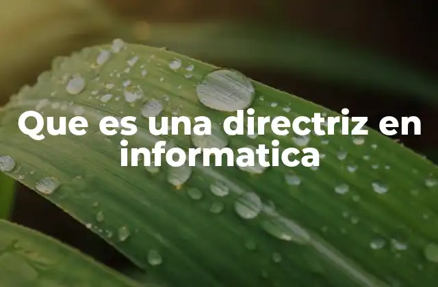 Que es una Directriz en Informatica