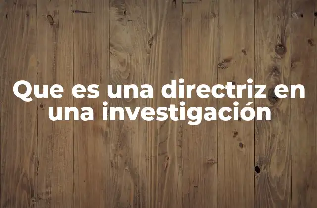 Que es una Directriz en una Investigación