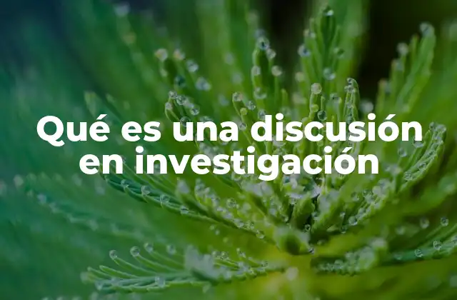 Qué es una Discusión en Investigación