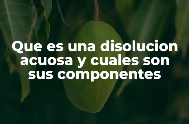 Que es una Disolucion Acuosa y Cuales Son Sus Componentes