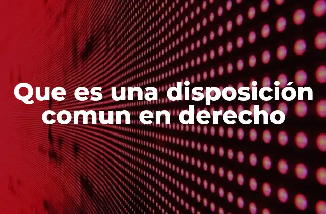 Que es una Disposición Comun en Derecho