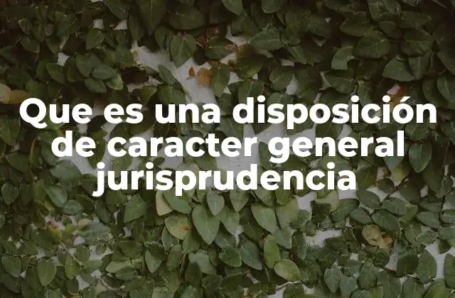 Que es una Disposición de Caracter General Jurisprudencia