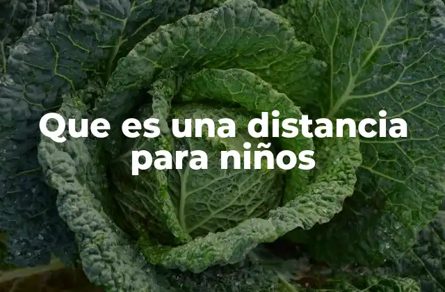 Que es una Distancia para Niños