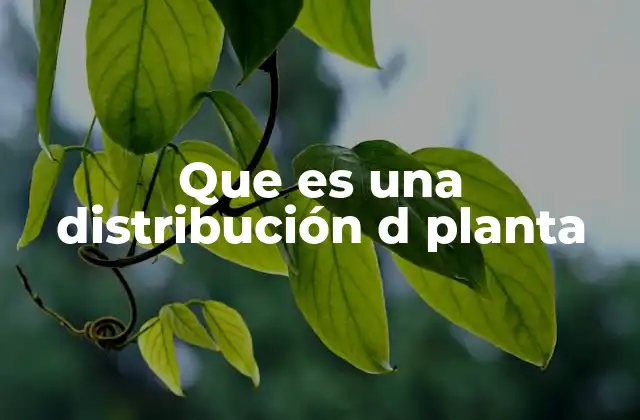 Que es una Distribución D Planta 2 La importancia de un diseño eficiente en espacios industriales