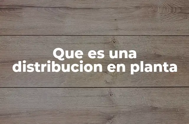 Que es una Distribucion en Planta
